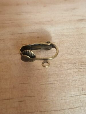 clip bronze